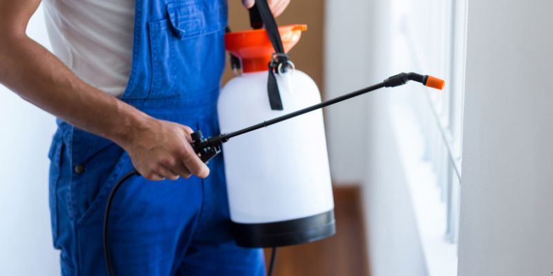 Como fazer dedetização em casa em Santos