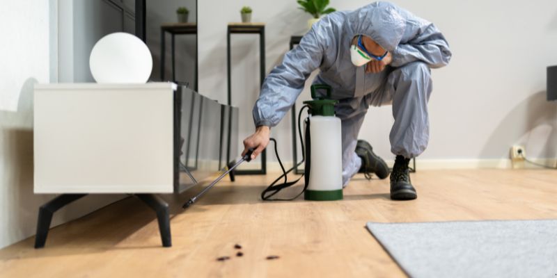 Quanto tempo dura uma dedetização em Santos?